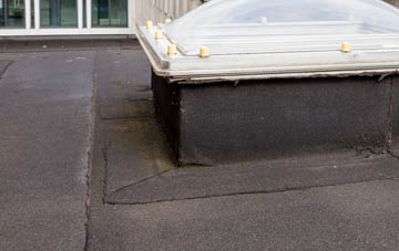 disadvantages of Dalguise flat roofs
