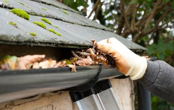 gutter cleaning Dalguise, Perth And Kinross