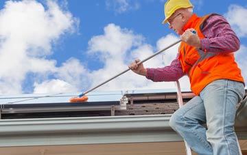 Dalguise soft wash roof cleaning