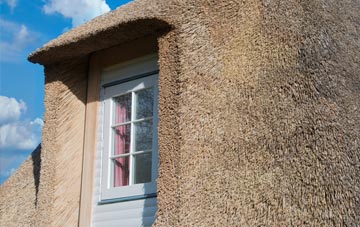 Dalguise thatch roof disadvantages