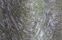 Dalguise fibreglass roof work