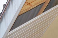 rated Dalguise soffit repair companies
